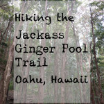 Hiking the Jackass Ginger Pool Trail in Hawaii