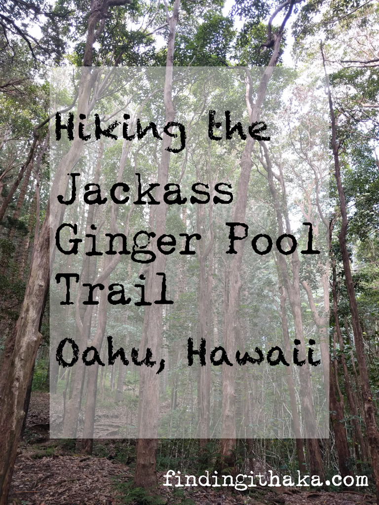 jackass ginger pool trail - judd memorial trail oahu (1 of 11)