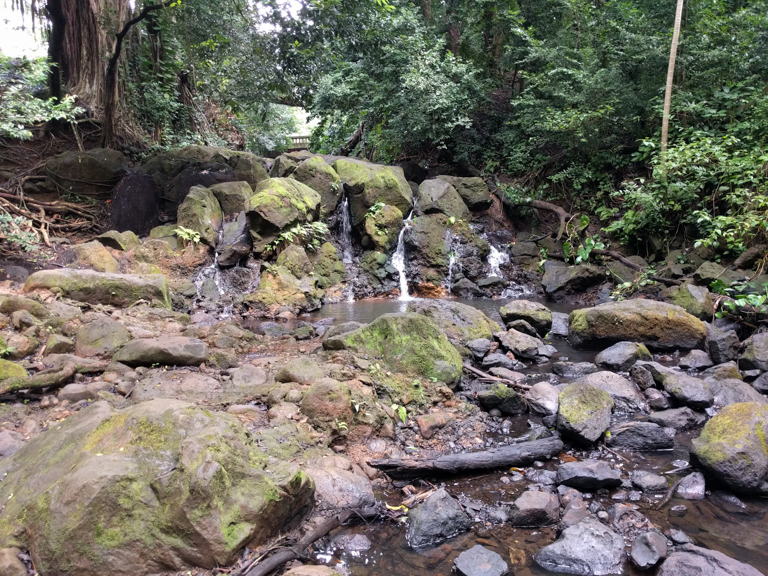 jackass ginger pool trail - judd memorial trail oahu (10 of 11)