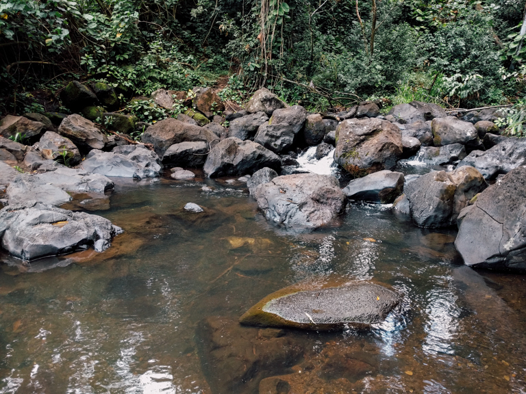 jackass ginger pool trail - judd memorial trail oahu (8 of 11)