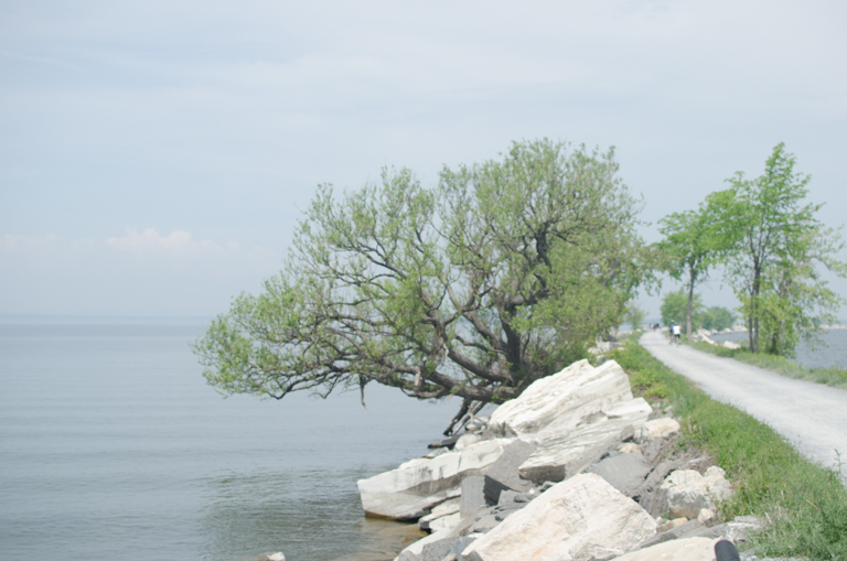 biking on lake champlain finding ithaka (14 of 22)