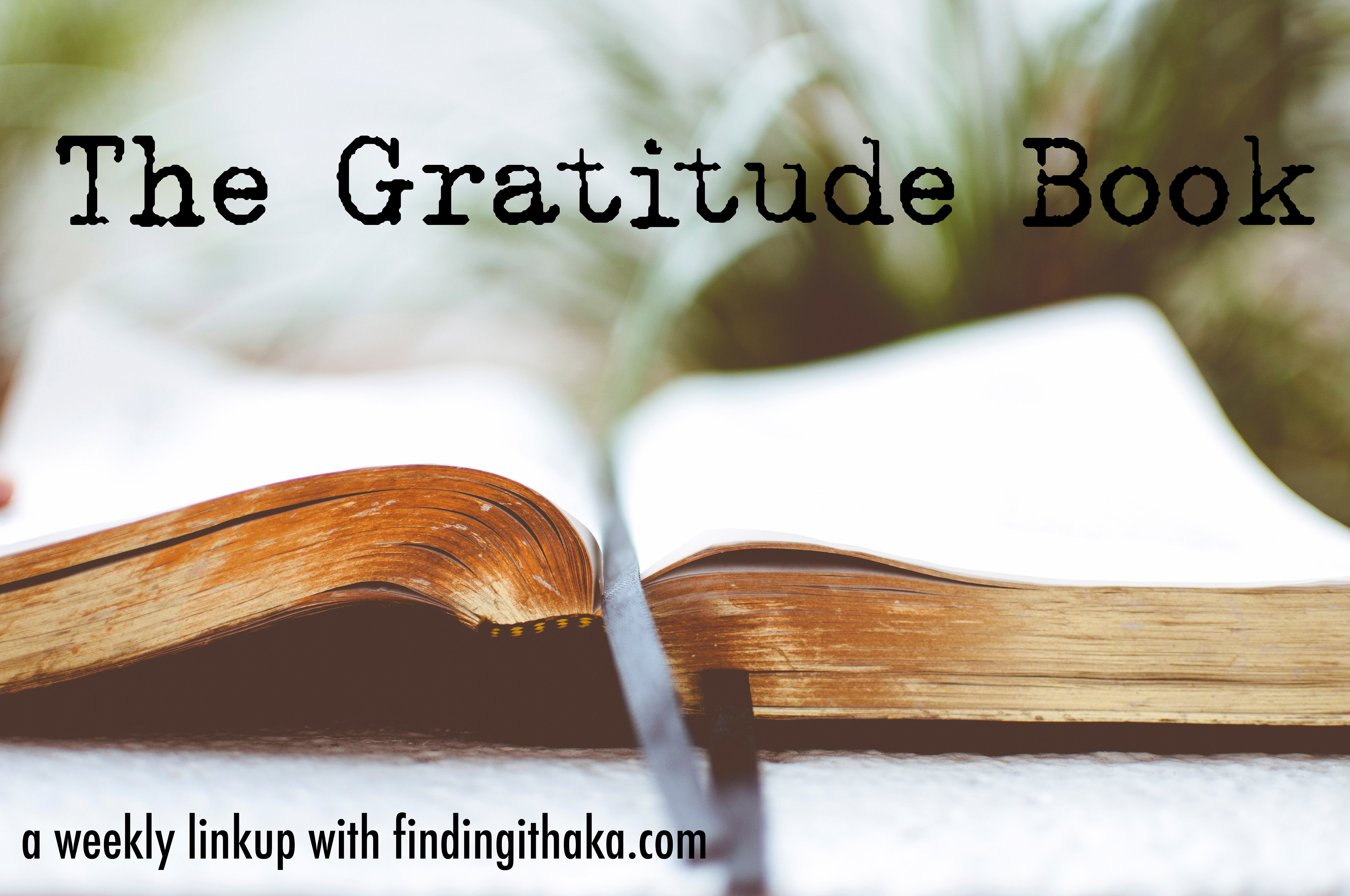 The Gratitude Book-2